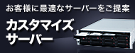カスタマイズサーバー